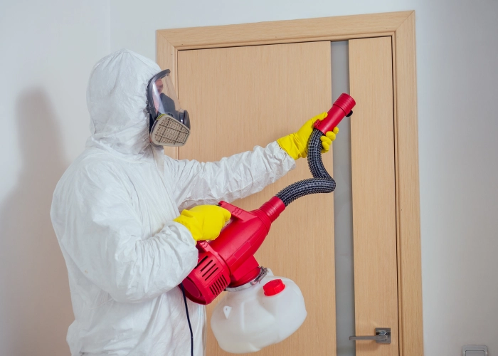 Trattamento contro le cimici dei letti a Reggio Emilia 42100