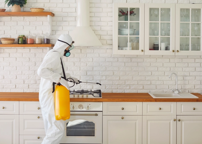 Trattamento contro le cimici dei letti a Catanzaro 88100