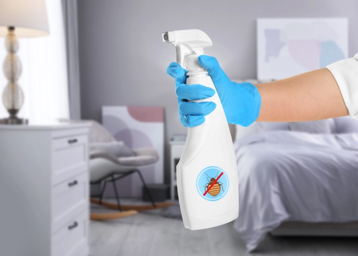 Trattamento contro le cimici dei letti a Quartu Sant'Elena 09045